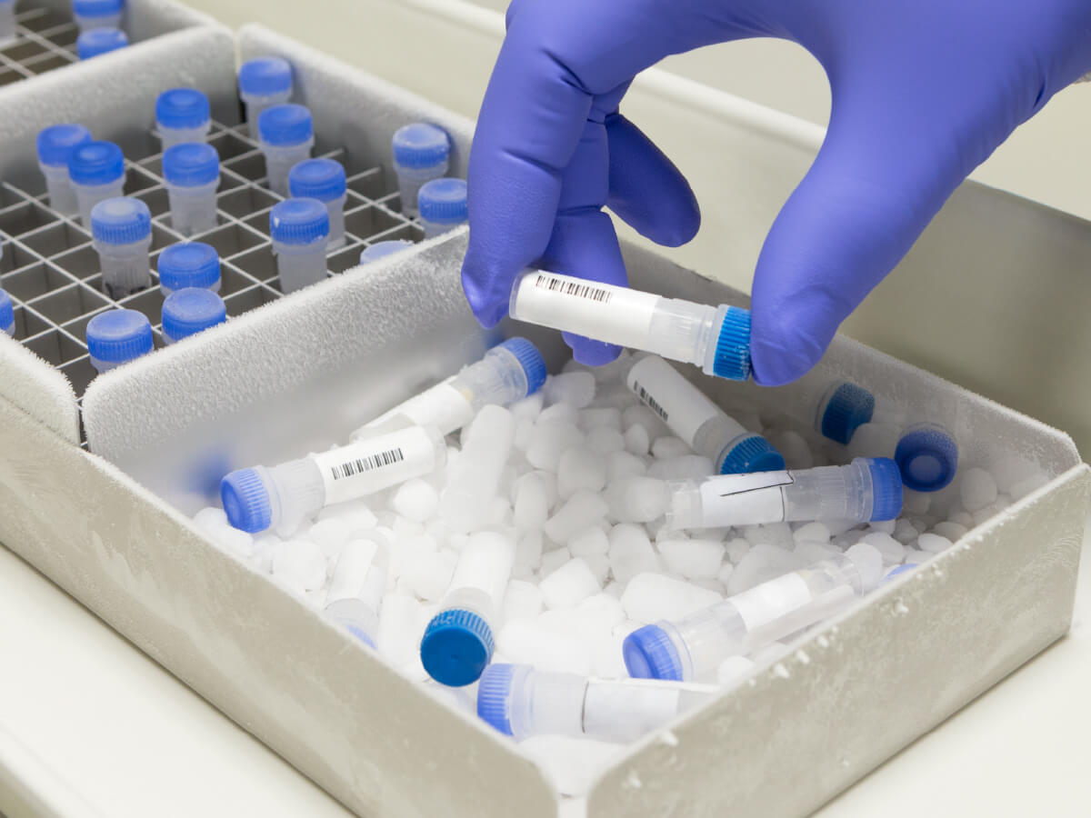 Empire Cooler Commercial Ice Machine Leasing and Service